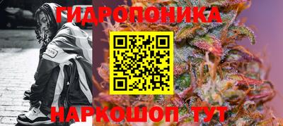ALPHA PVP Бийск