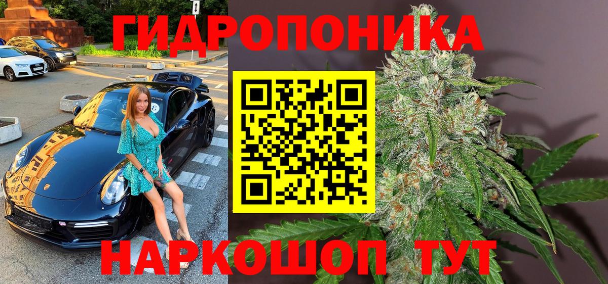 Конопля конопля  Вход с VPN  Киров  МАРИХУАНА Bruce Banner  Каннабис Amnesia 